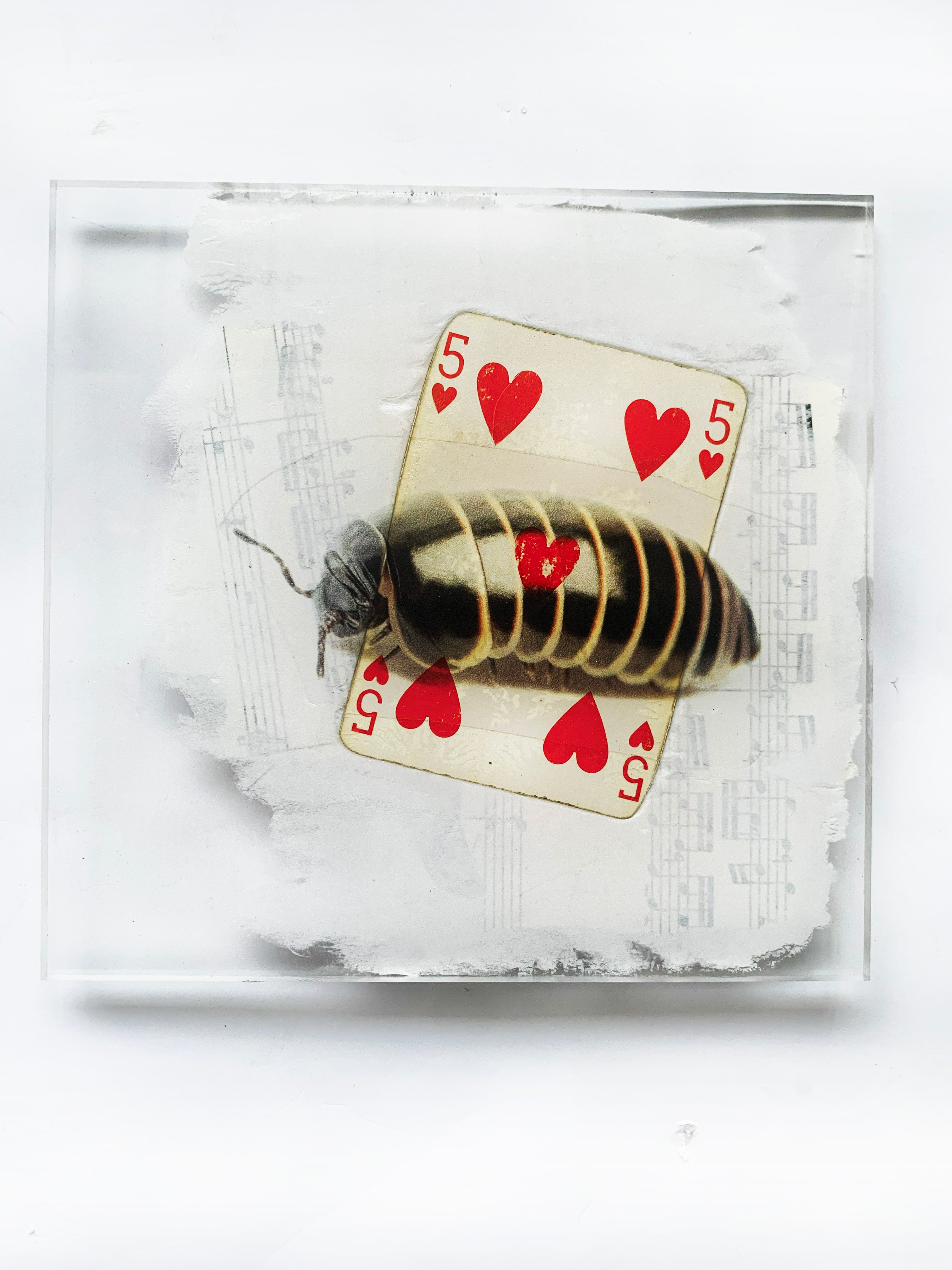 Œuvre d'art unique  ! Livraison toute France offerte