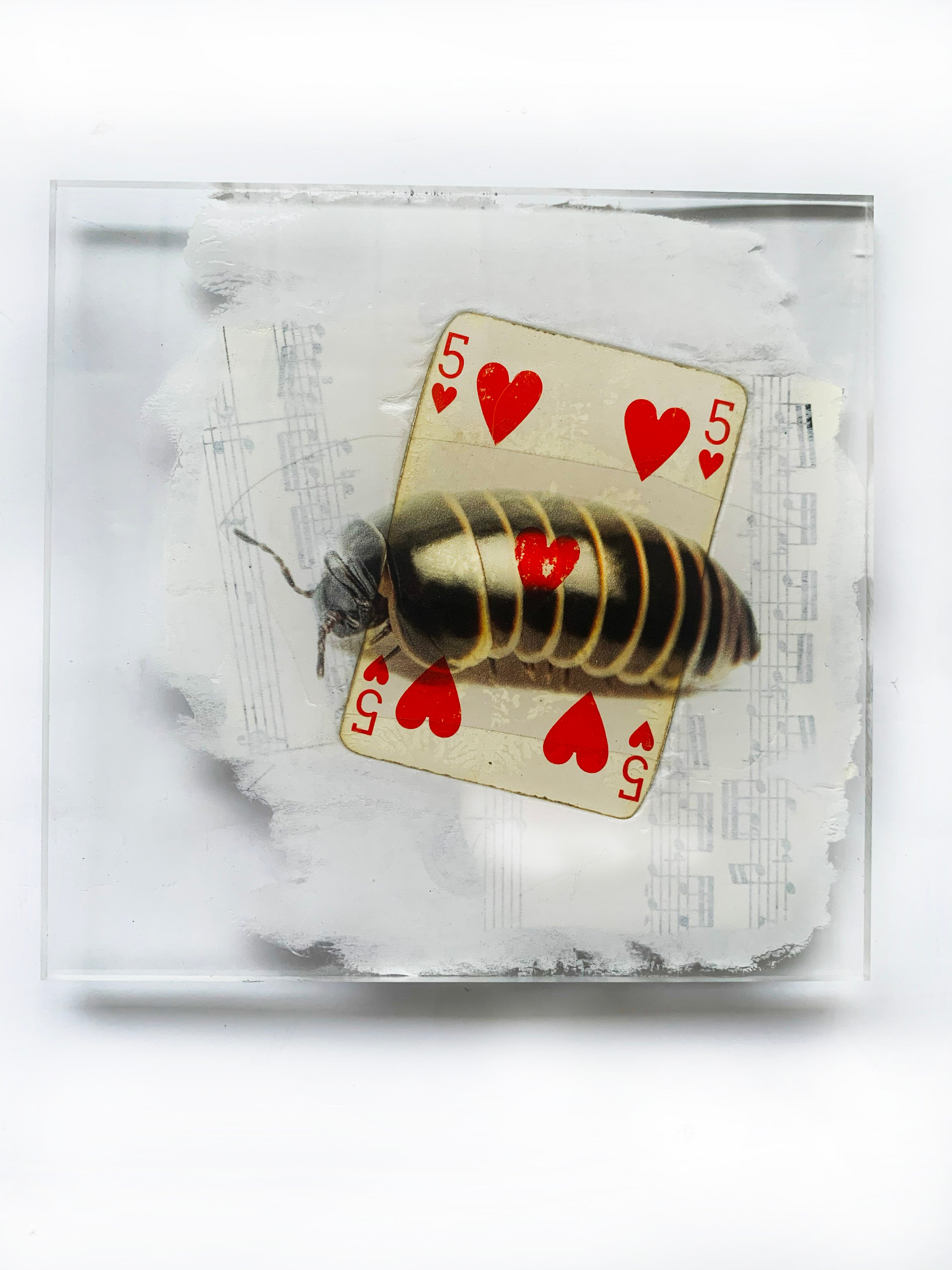 Œuvre d'art unique  ! Livraison toute France offerte