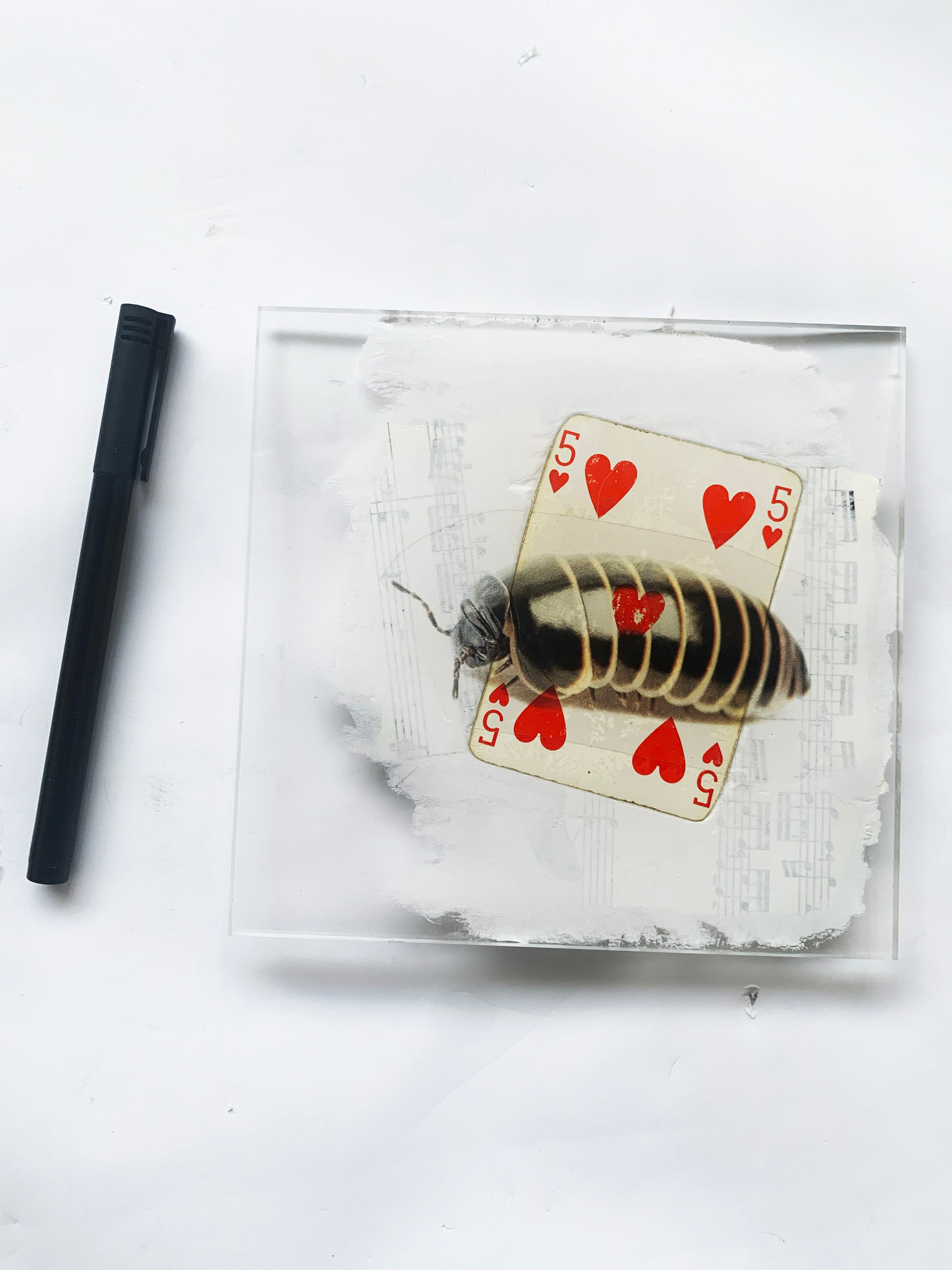 Œuvre d'art unique  ! Livraison toute France offerte