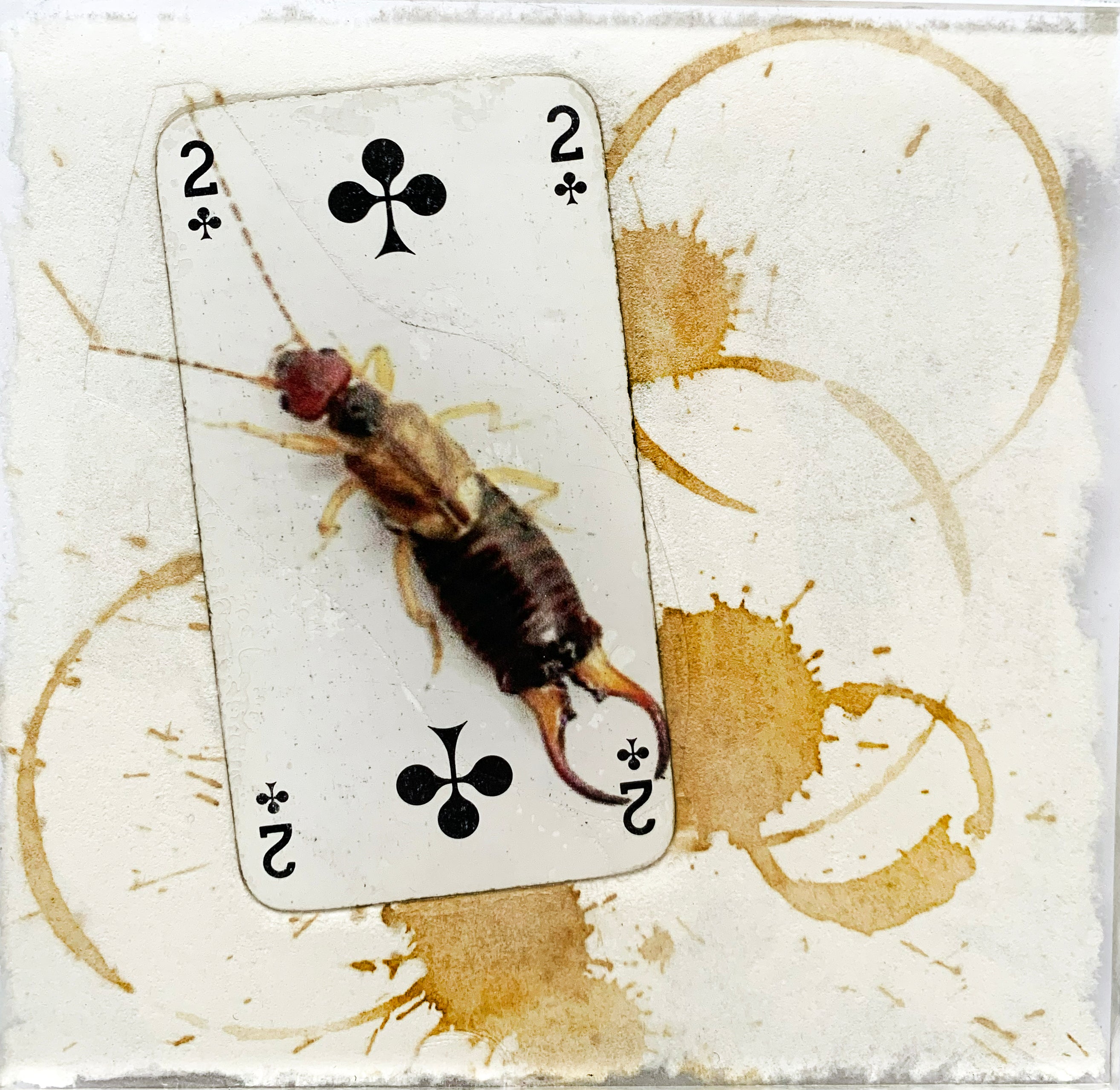 Œuvre d'art unique  ! Livraison toute France offerte