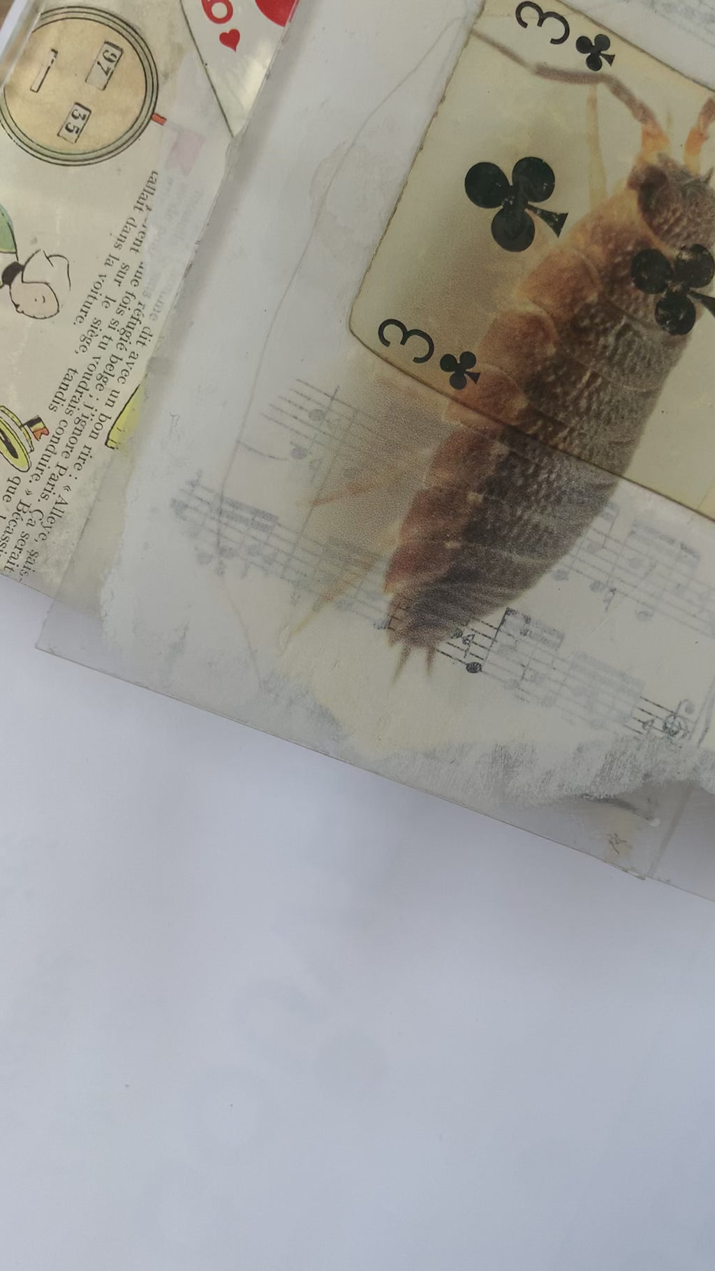 Trois Couches de Mémoire sous un Seul Insecte Transparent