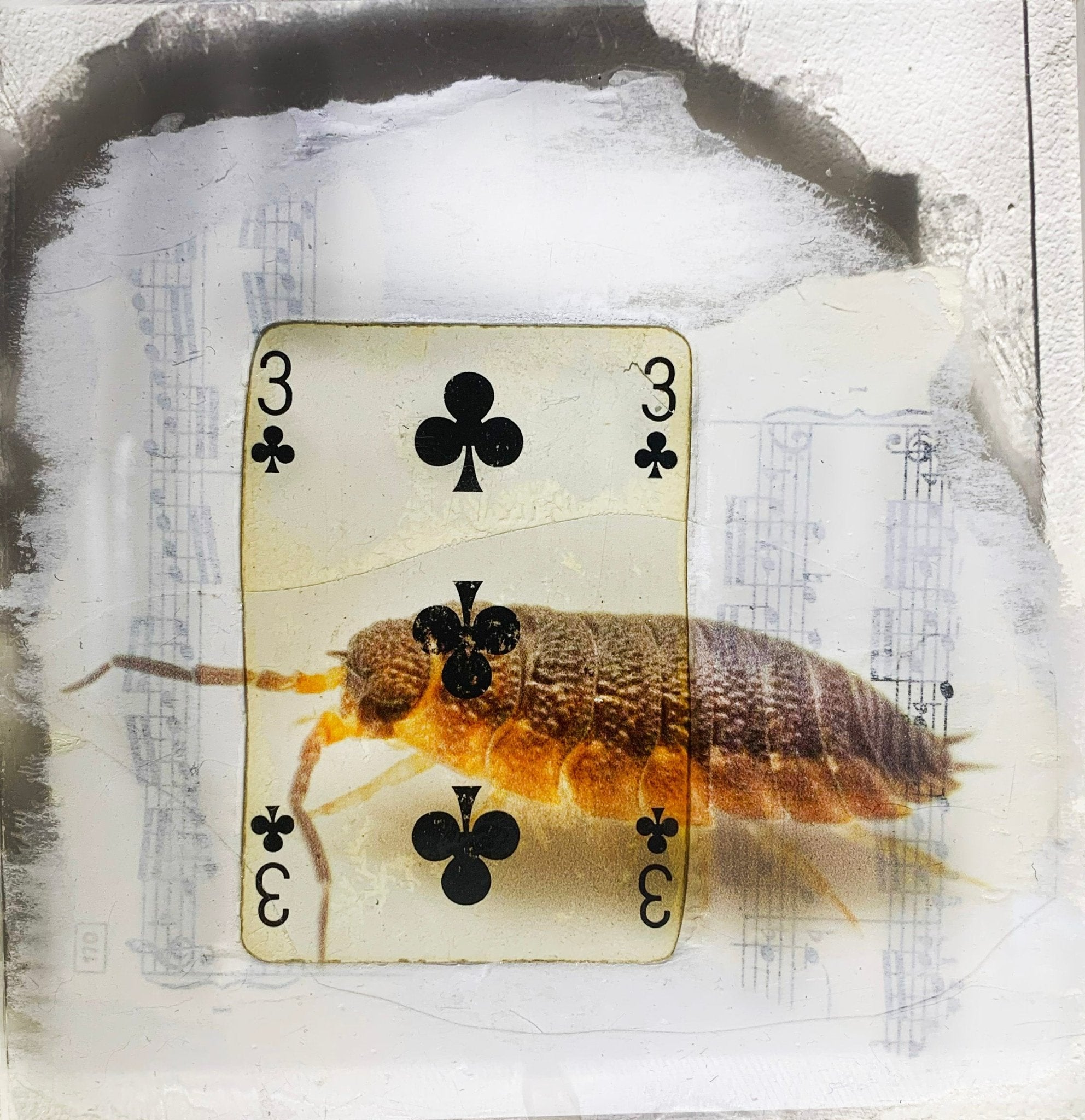 TABLEAU SPIRITO - NENTAL