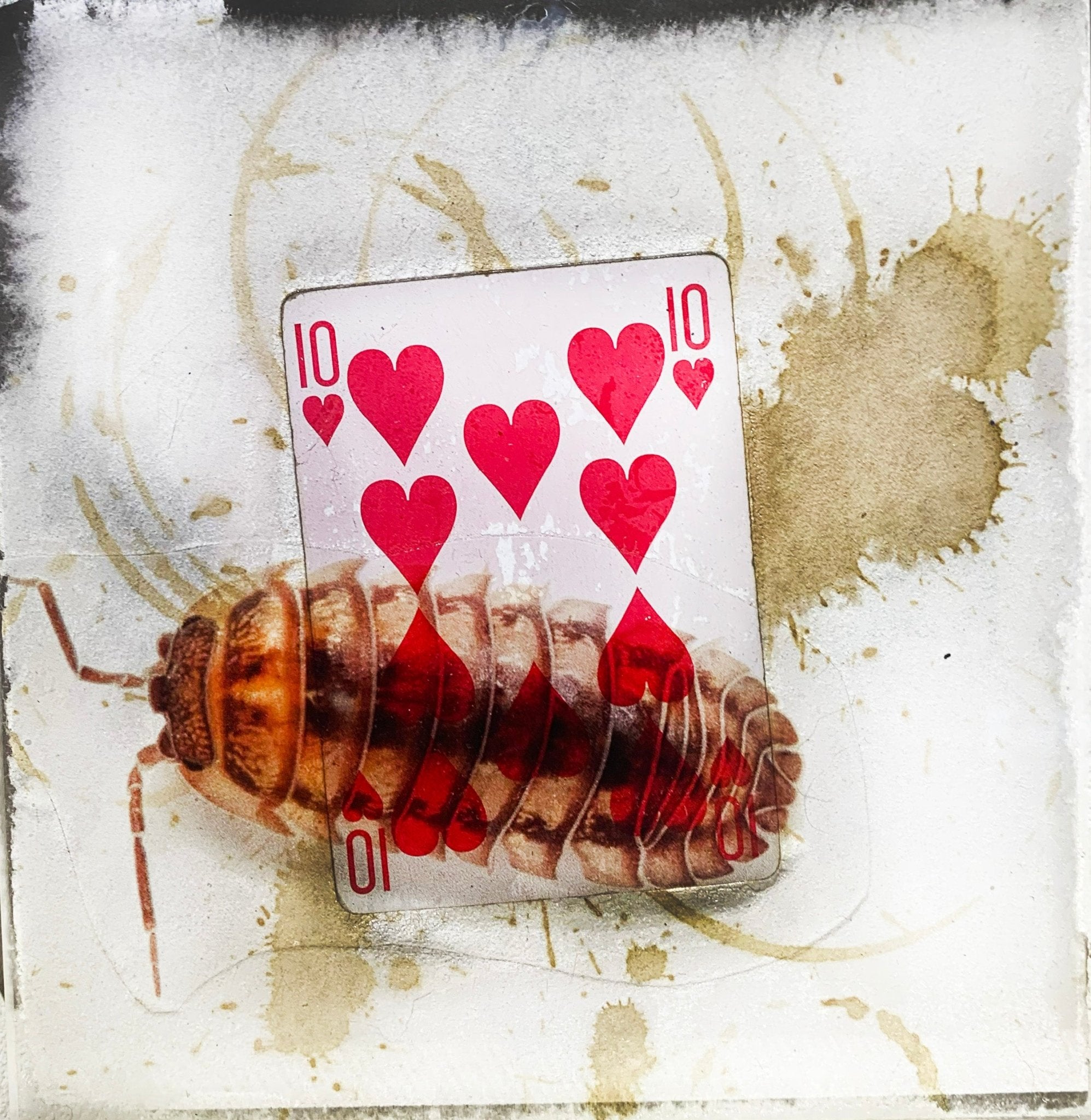 TABLEAU SPIRITO - NENTAL