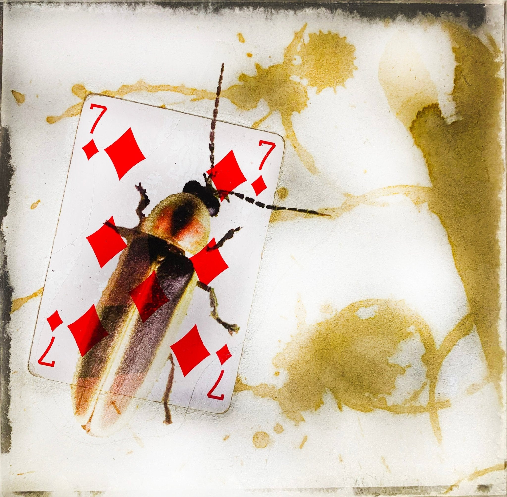 TABLEAU SPIRITO - NENTAL