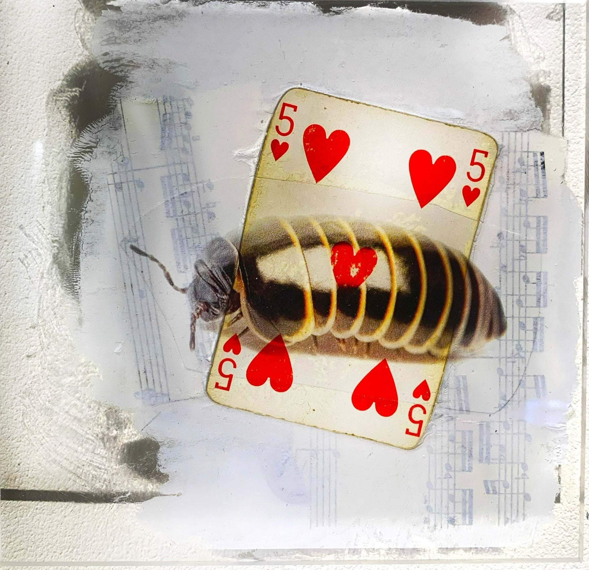 TABLEAU SPIRITO - NENTALNENTAL