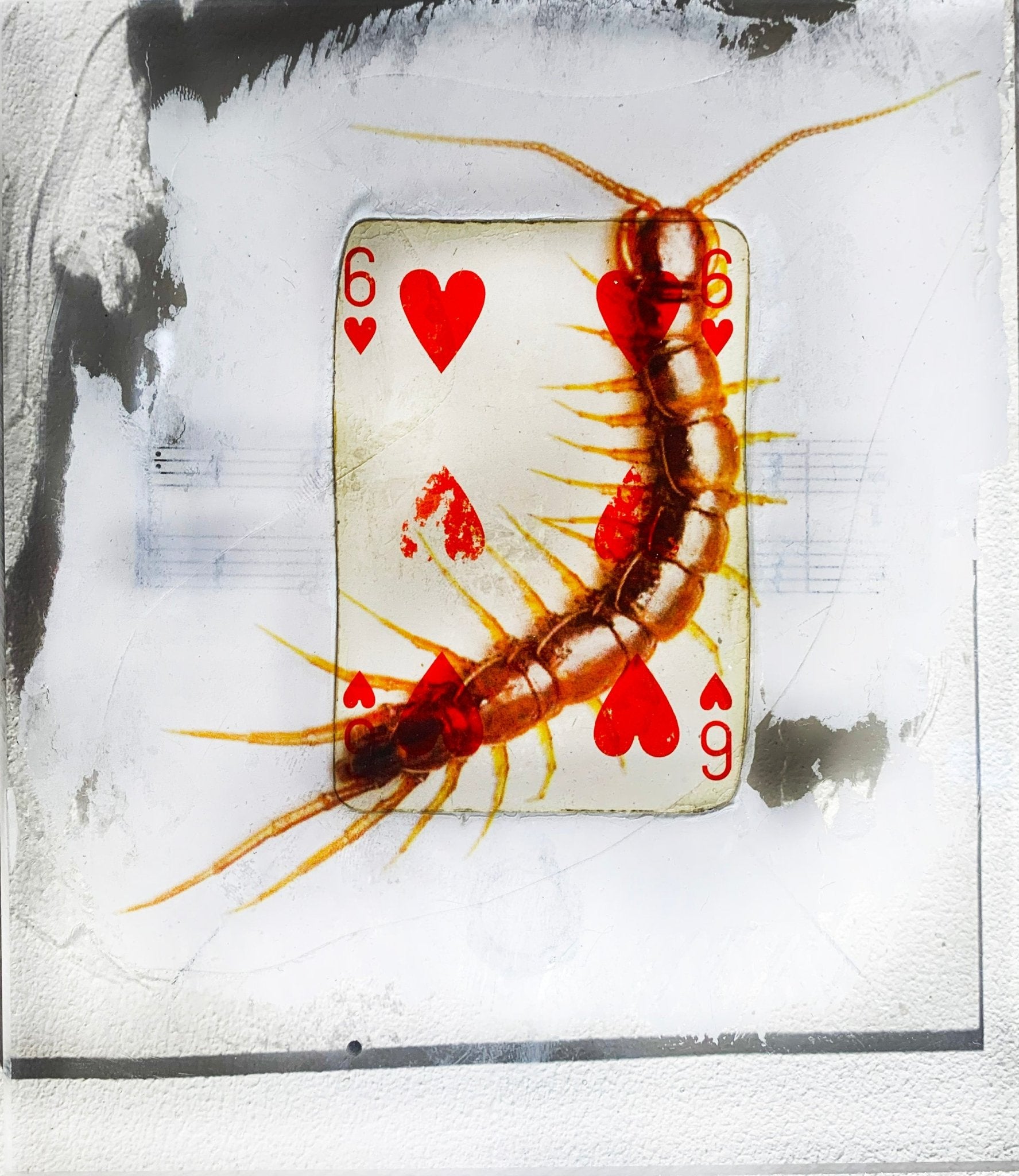 TABLEAU SPIRITO - NENTAL