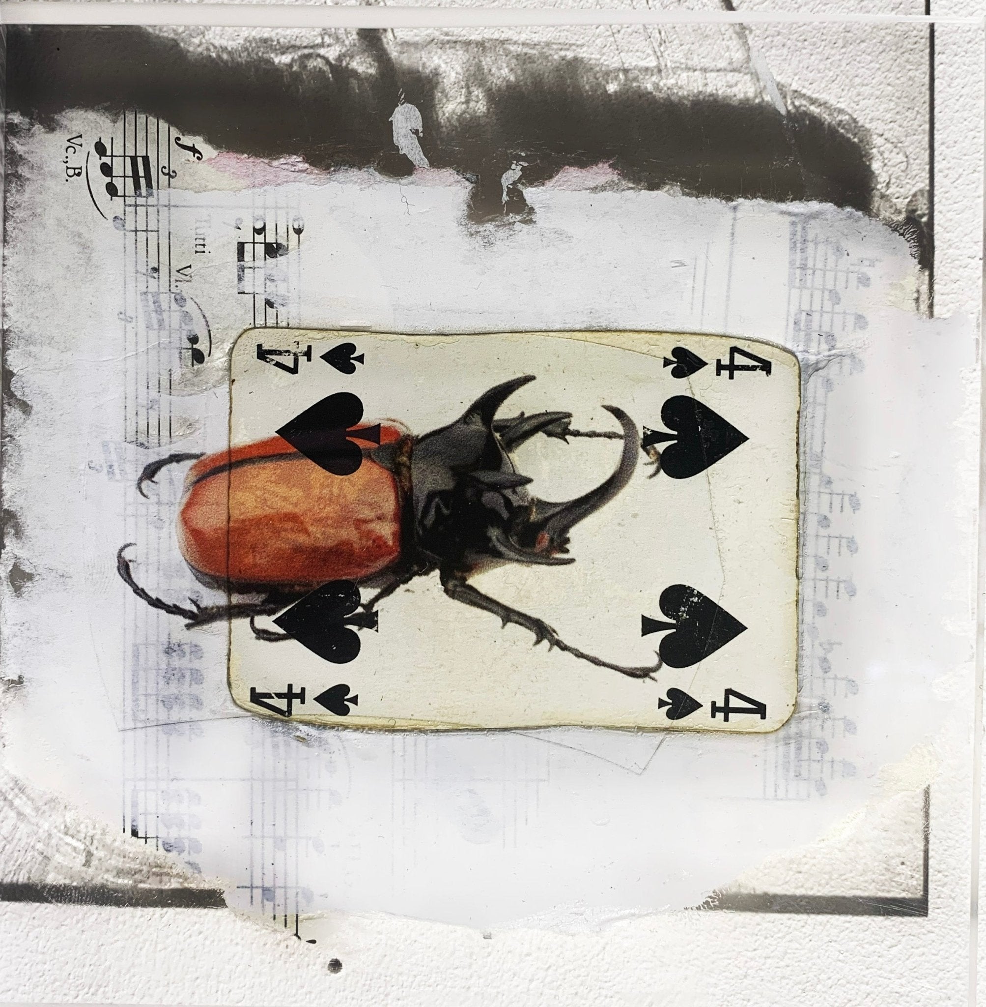 TABLEAU SPIRITO - NENTAL