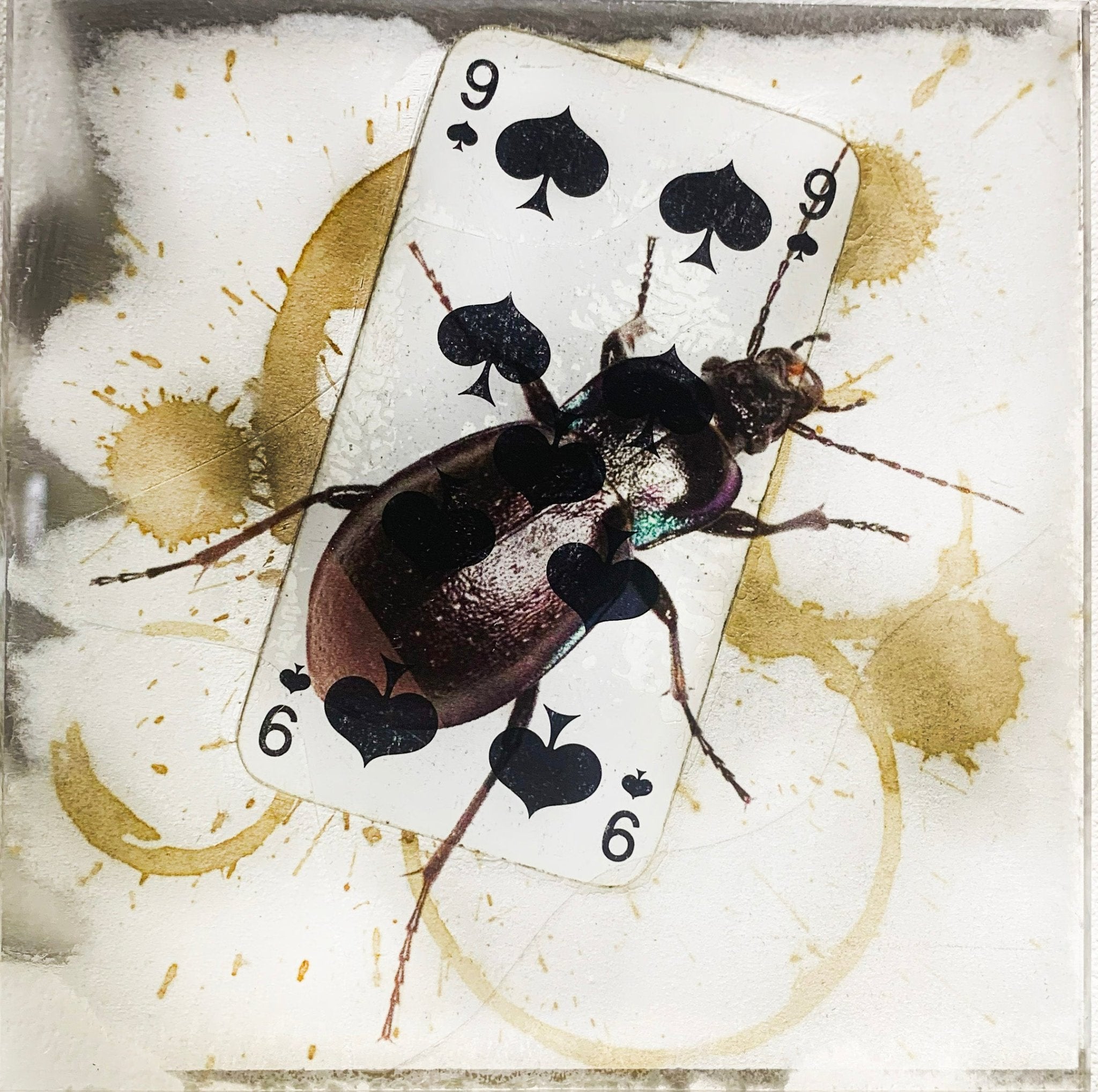 TABLEAU SPIRITO - NENTAL