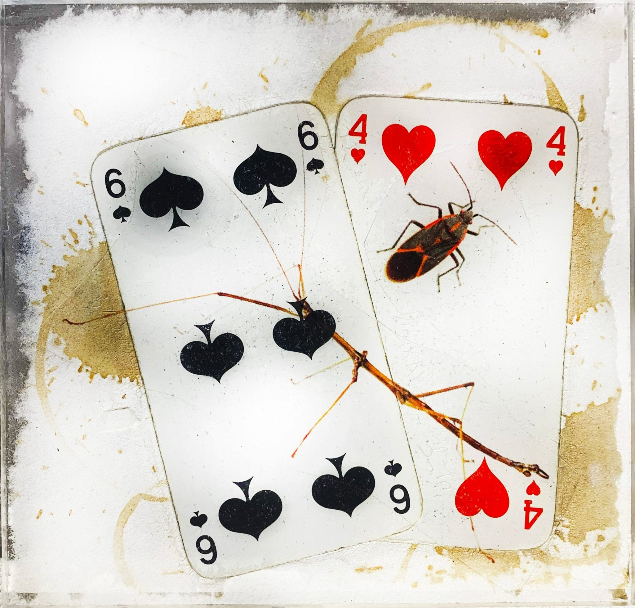 TABLEAU SPIRITO - NENTAL