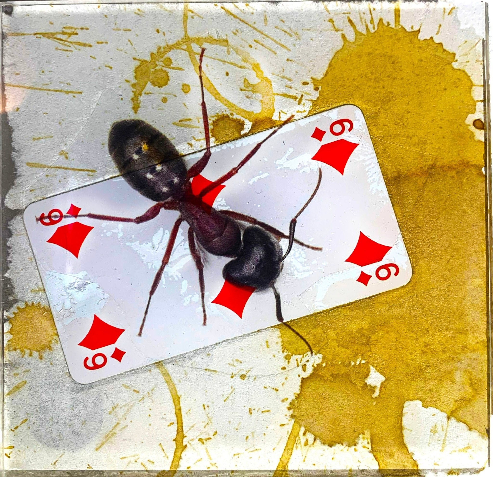 TABLEAU SPIRITO - NENTAL