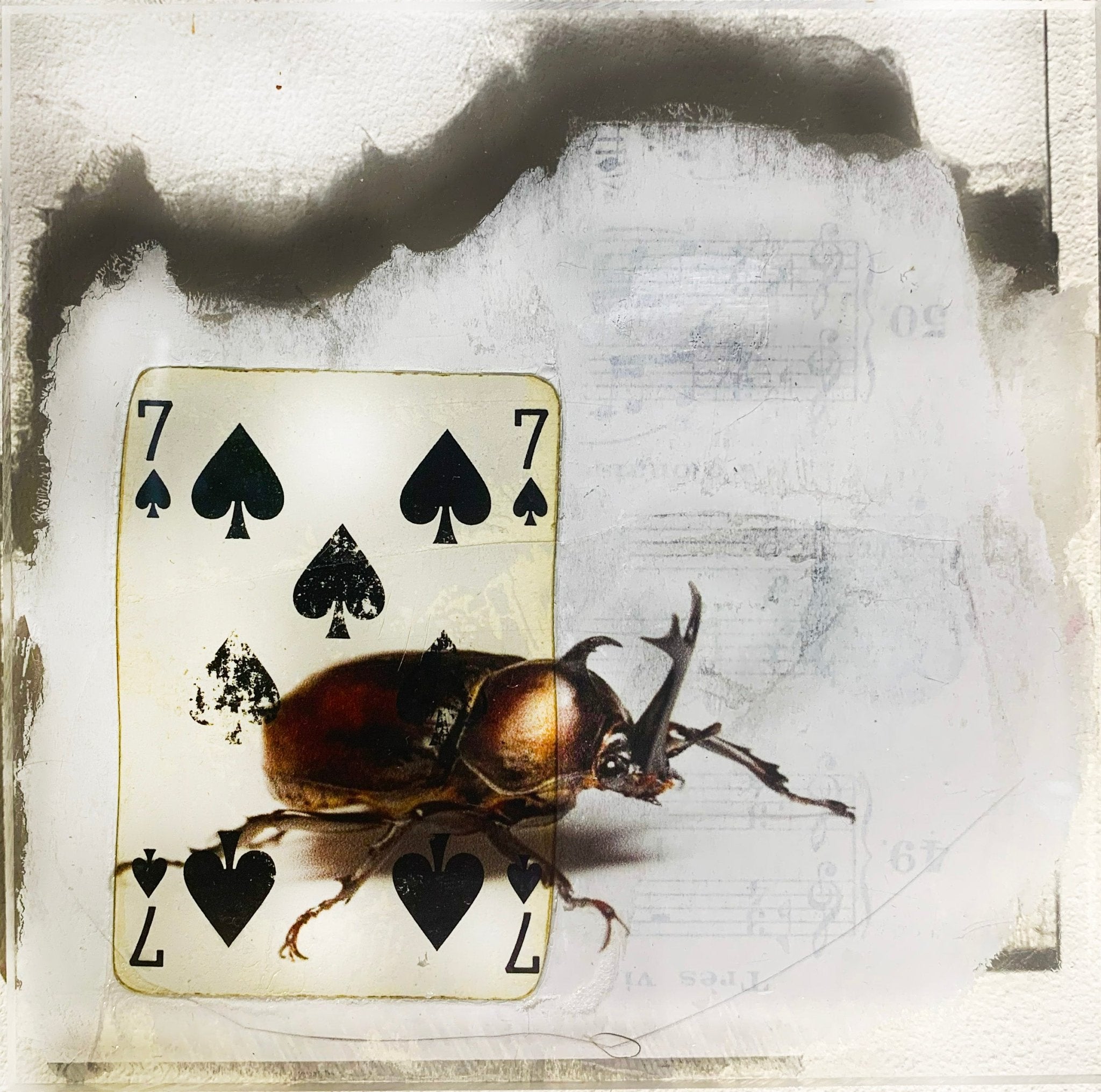 TABLEAU SPIRITO - NENTALNENTAL