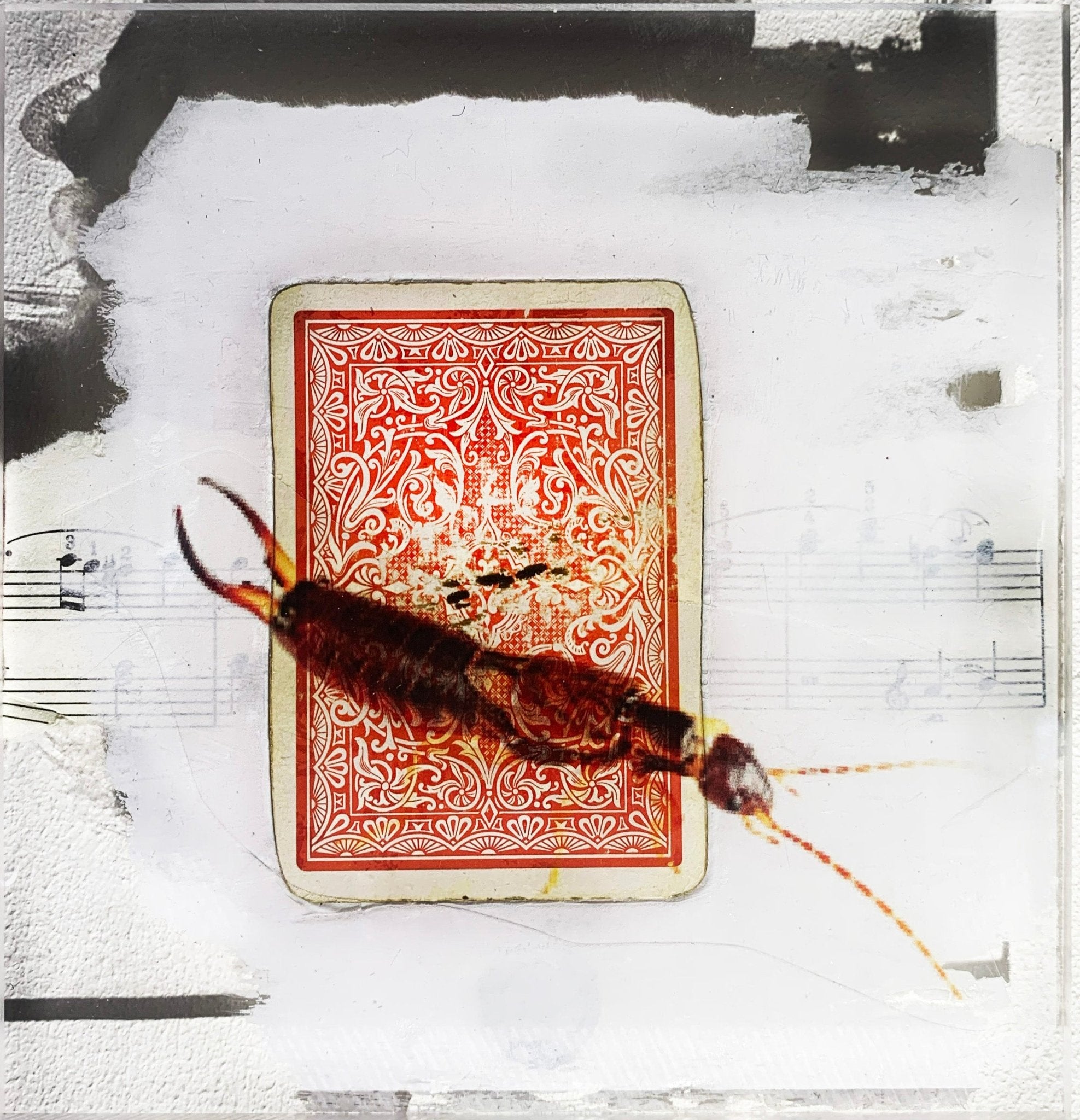 TABLEAU SPIRITO - NENTAL